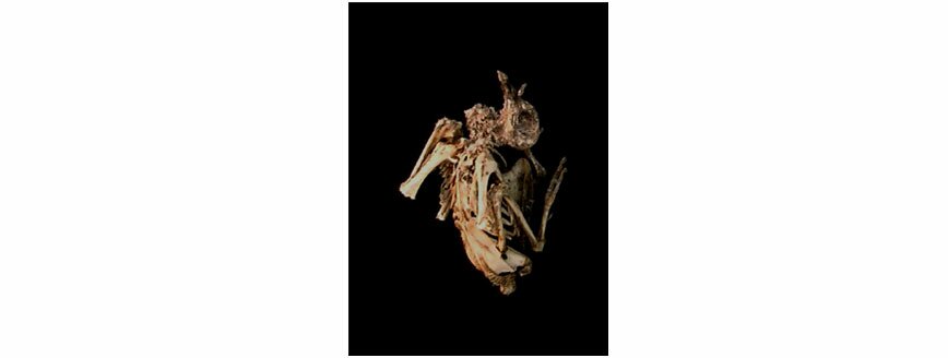 interior_bigimage.jpg interior_bigimage.jpg