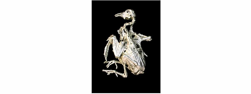 interior_bigimage.jpg interior_bigimage.jpg